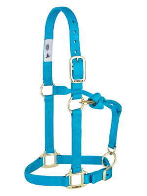 Licou en Nylon Original Ajustable