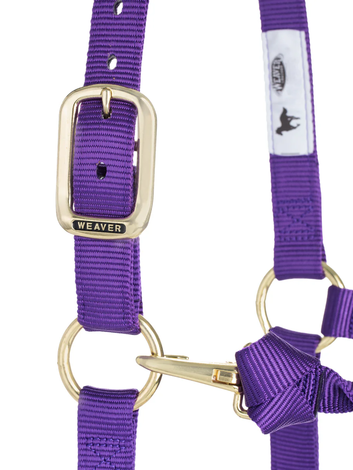 Licou en Nylon Original Ajustable