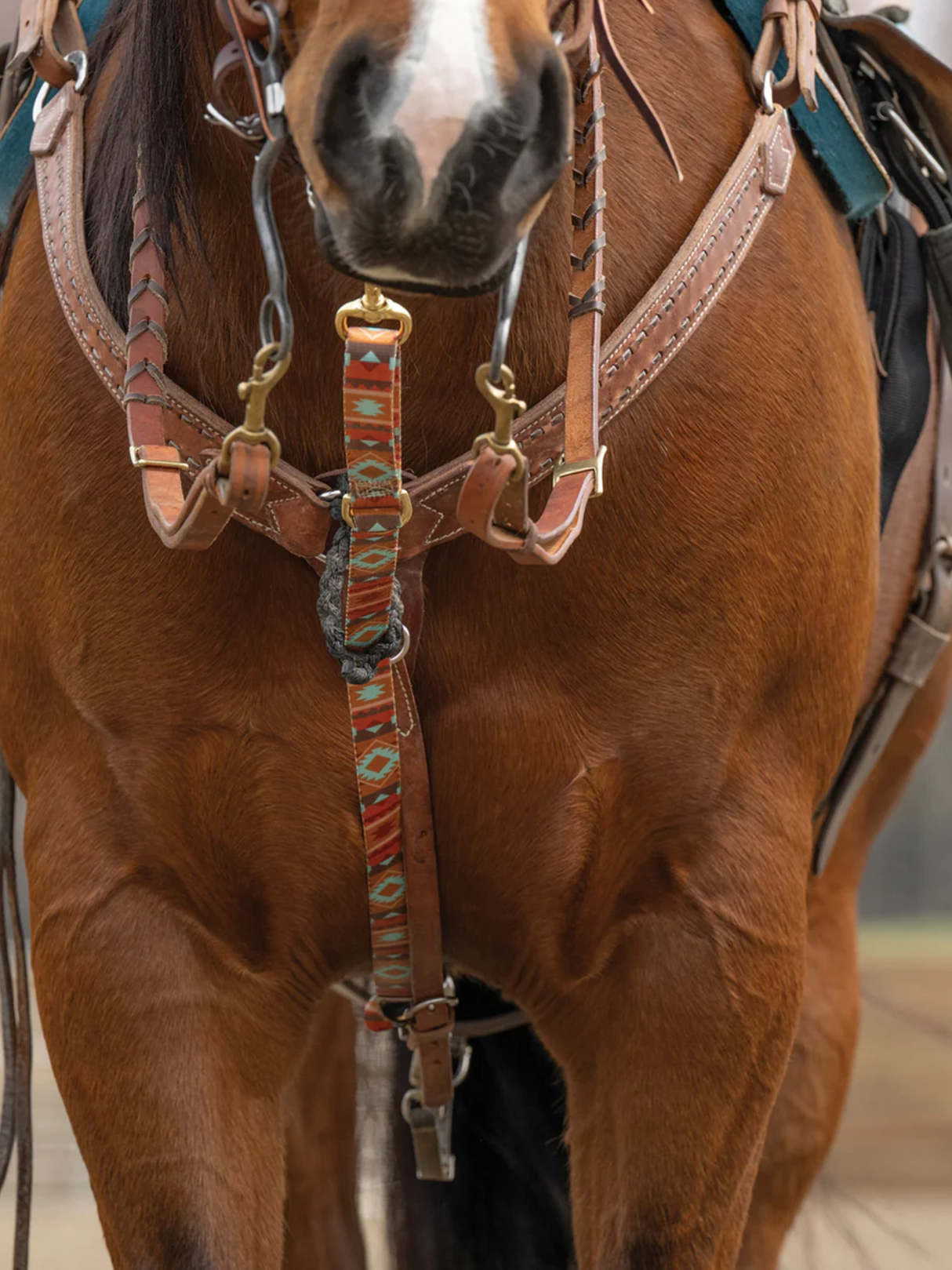 Courroie de tie down Deluxe à motifs en nylon