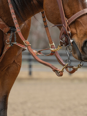Courroie de tie down Deluxe à motifs en nylon