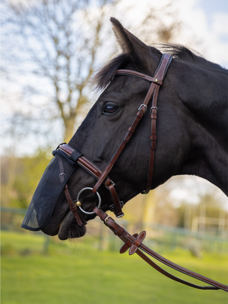 Mesh Anti-Insect Nose Net