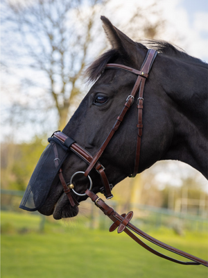 Mesh Anti-Insect Nose Net