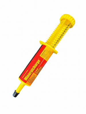 Électrolyte en seringue Mineralcharge