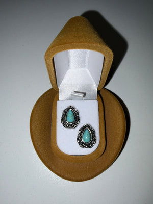 Earrings in a turquoise drop hat