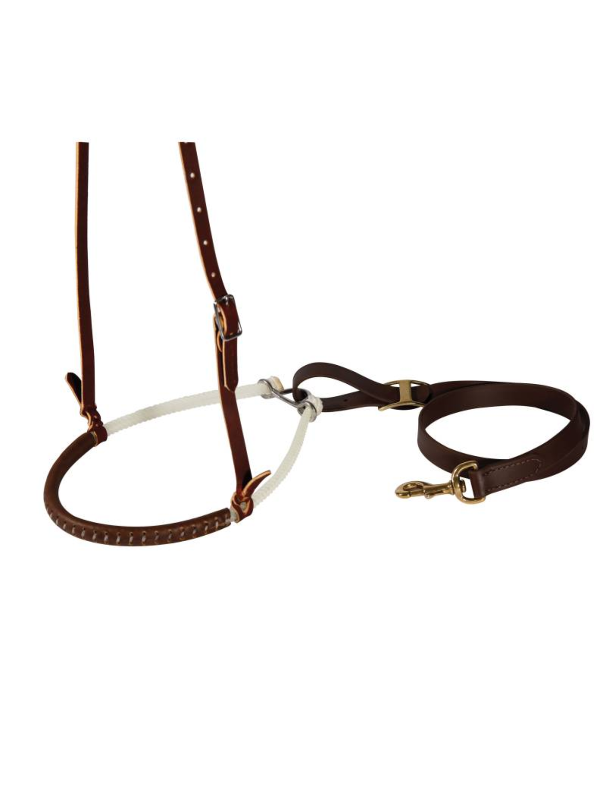 Tie-down à double corde avec muserolle recouverte