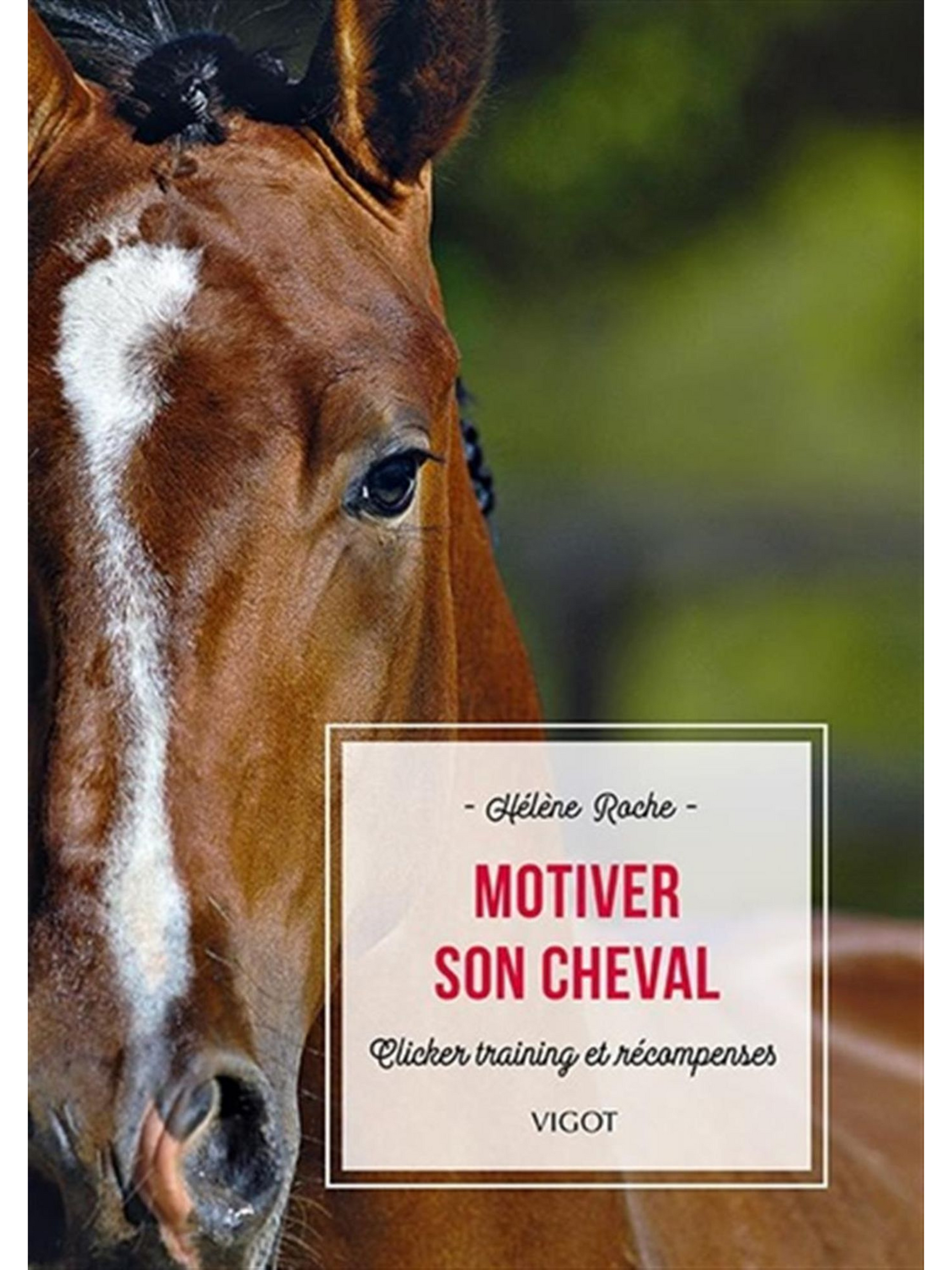 Motiver son cheval - Clicker training et récompenses N.E.