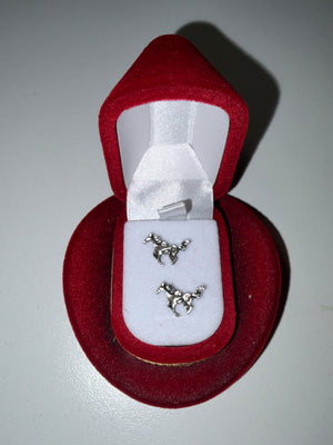 Earrings in a turquoise drop hat