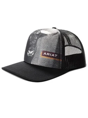 Casquette Foam Bull Print