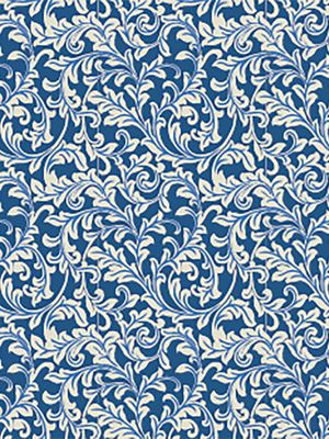 Chemise Western Team Parks Fitted - Homme