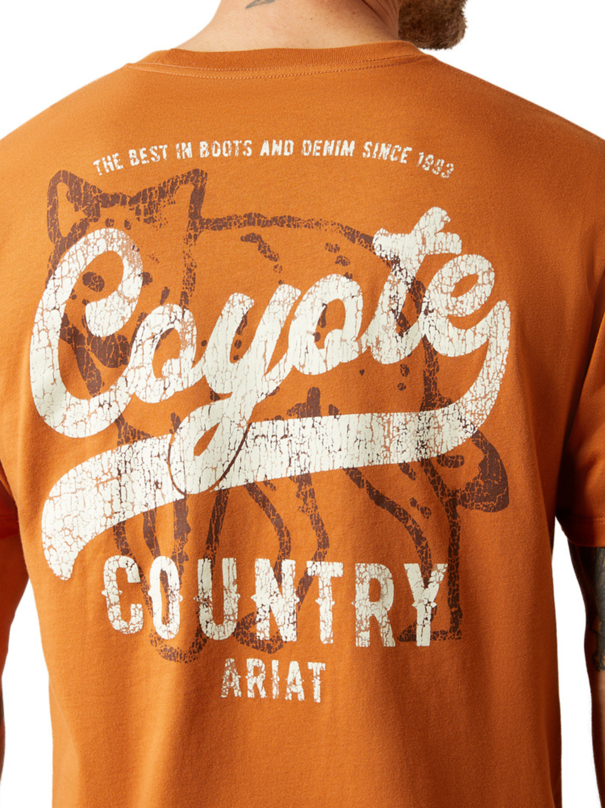 Coyote Country T-shirt - Men's