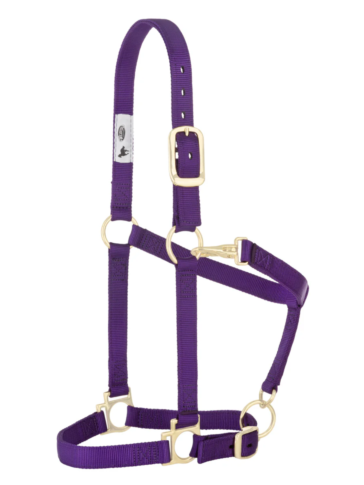 Licou en Nylon Écono