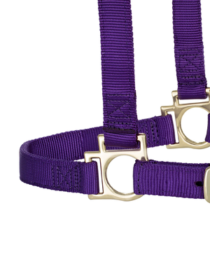 Licou en Nylon Écono