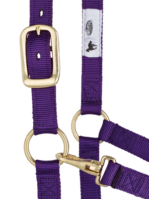 Licou en Nylon Écono