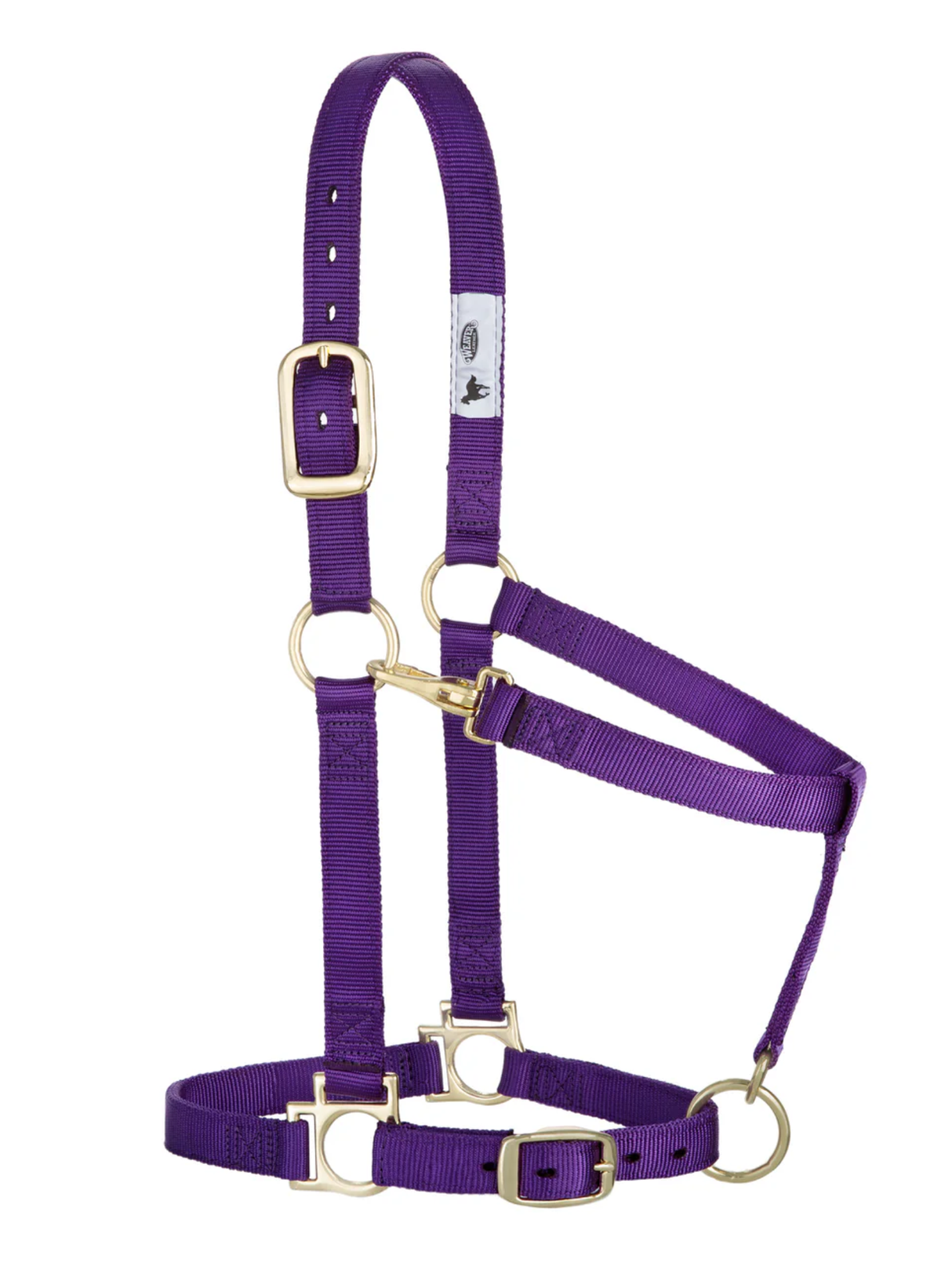 Licou en Nylon Écono