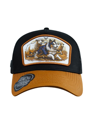 Casquette Berger Australien et moutons