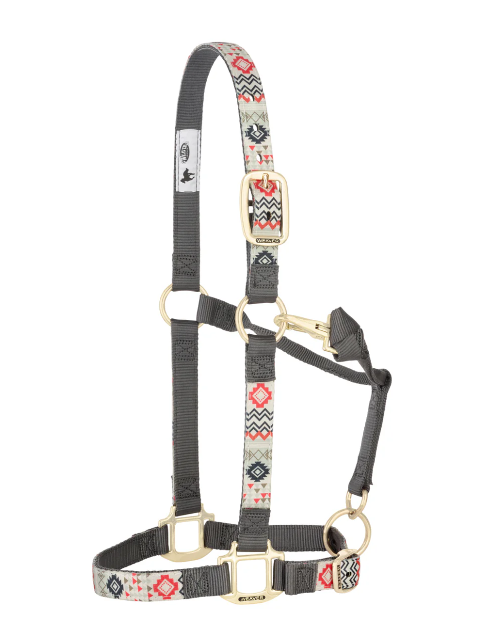 Licou de Nylon avec motifs