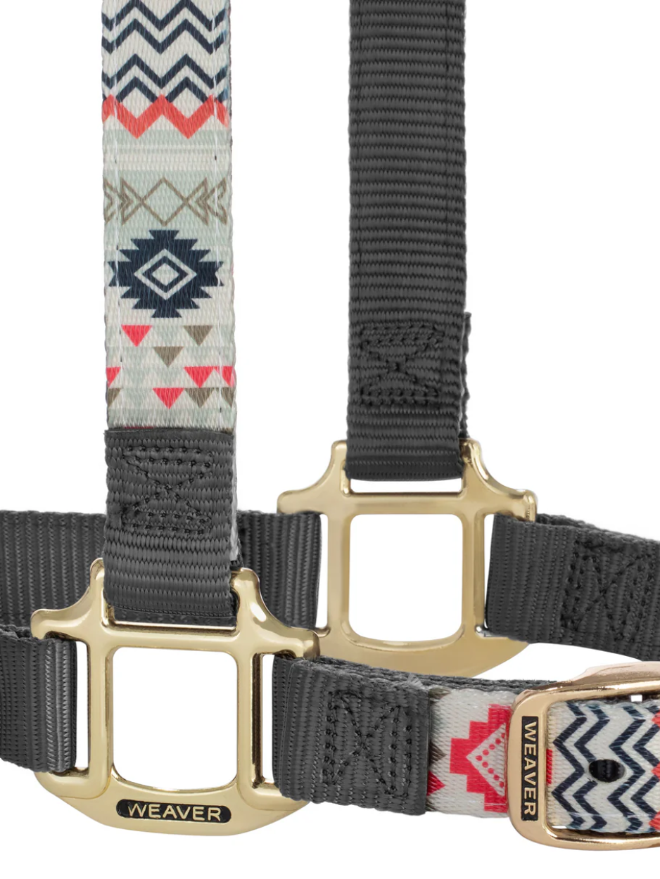 Licou de Nylon avec motifs