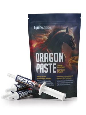 Supplément Calmant Dragon Paste - Paquet de 4