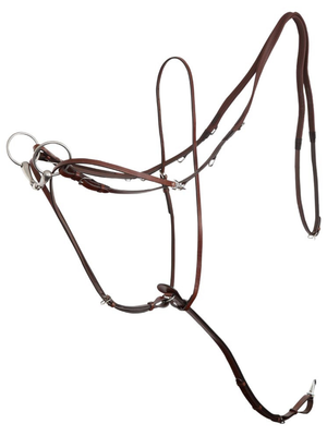 German leather martingale with reins
