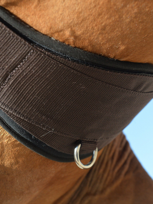 Classic Essential® Webbing with SmartFabric™ Lining