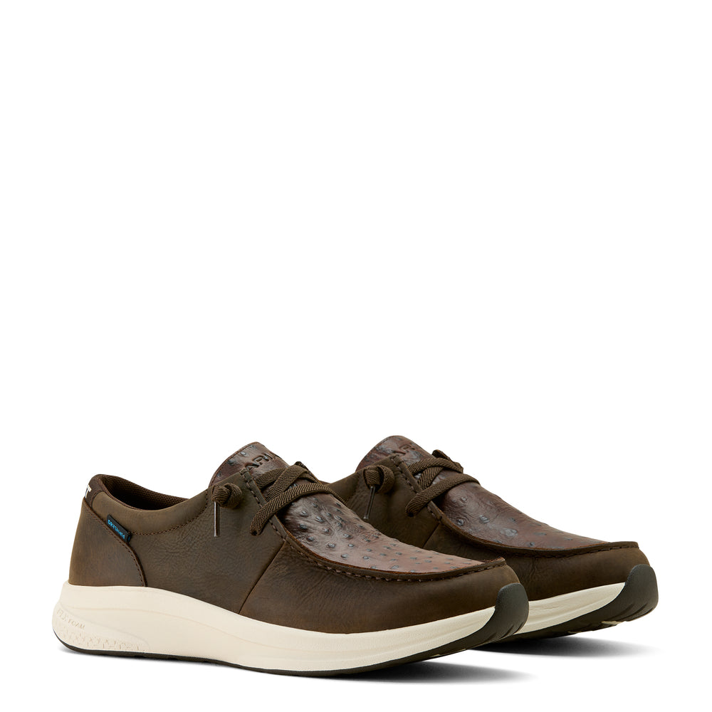 Soulier Buckeye H2O Chocolat - Homme
