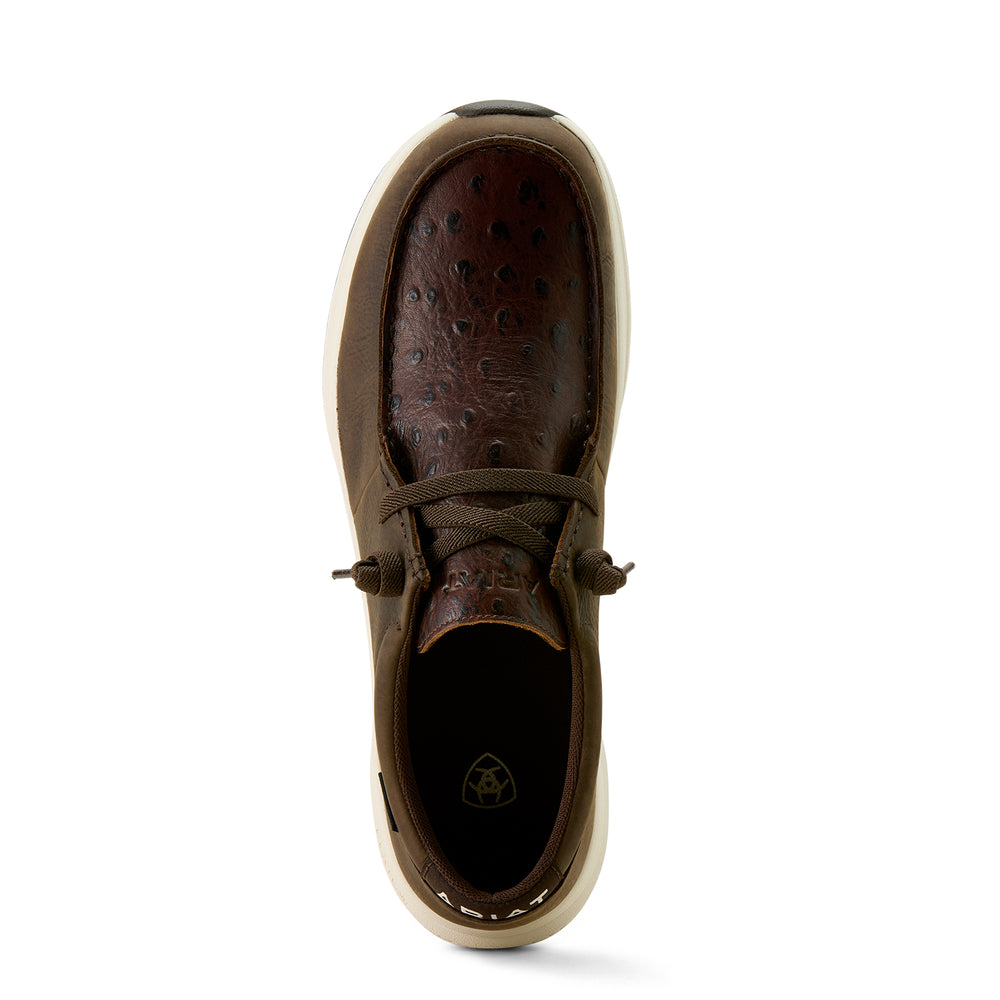 Soulier Buckeye H2O Chocolat - Homme