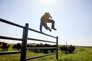 Veste Sans Manche Grizzly 2.0 Conceal & Carry - Homme