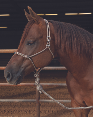 Easy On Rope Halter