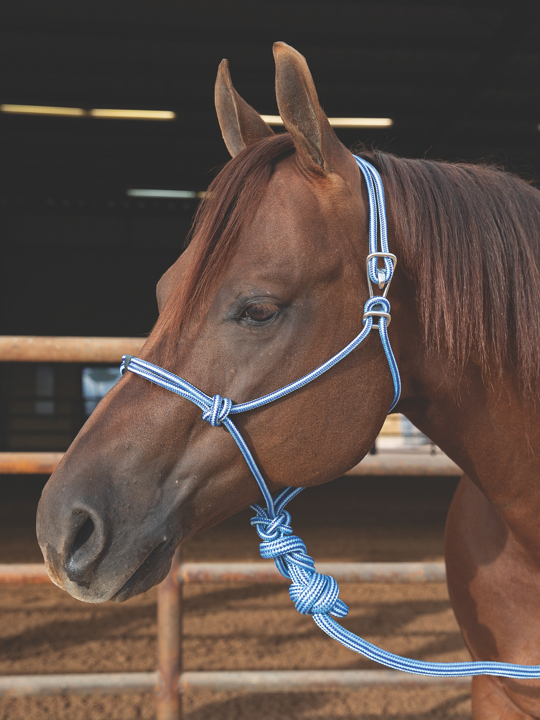 Easy On Rope Halter