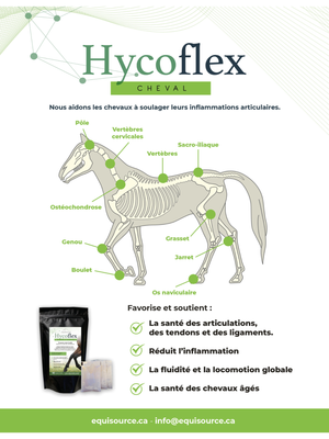 Hycoflex Joint Supplement