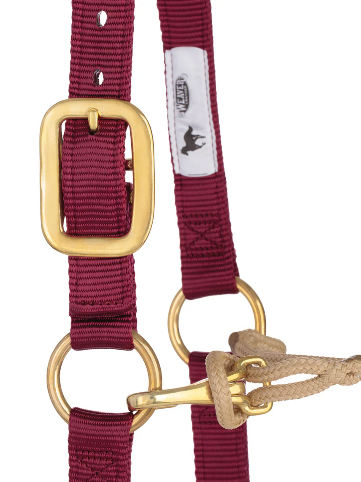 Horseman Halter Kalley Krickeberg