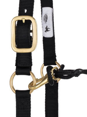 Horseman Halter Kalley Krickeberg