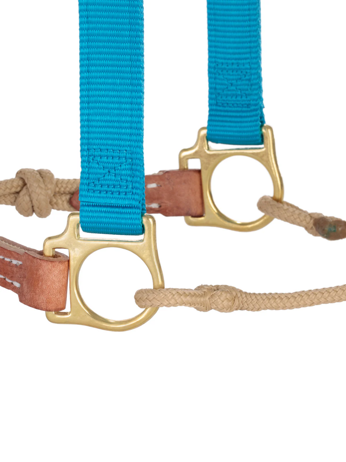 Horseman Halter Kalley Krickeberg