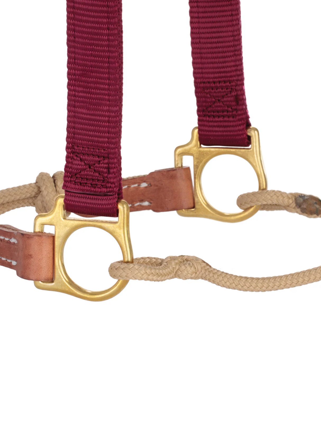 Horseman Halter Kalley Krickeberg