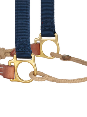 Horseman Halter Kalley Krickeberg