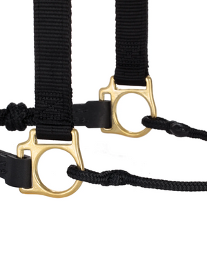 Horseman Halter Kalley Krickeberg