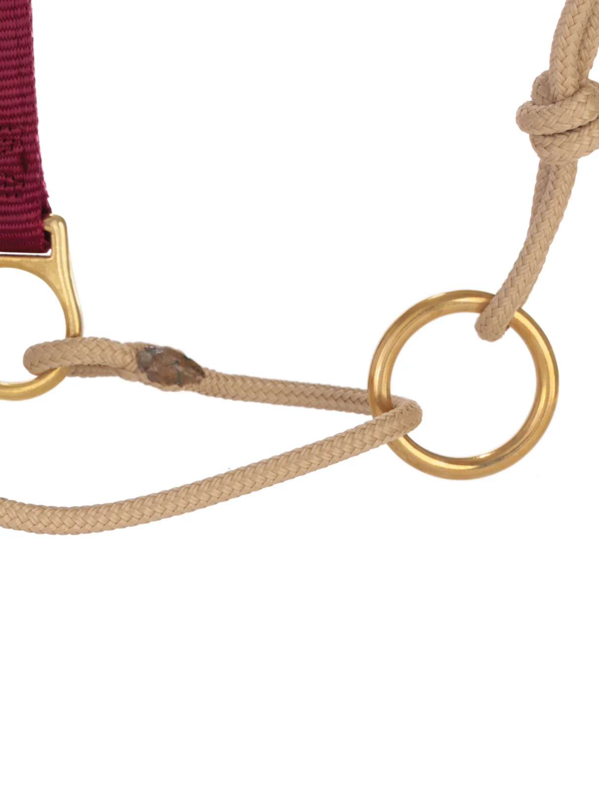 Horseman Halter Kalley Krickeberg