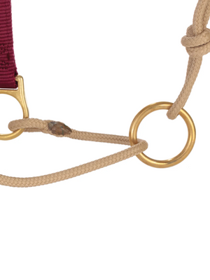 Horseman Halter Kalley Krickeberg