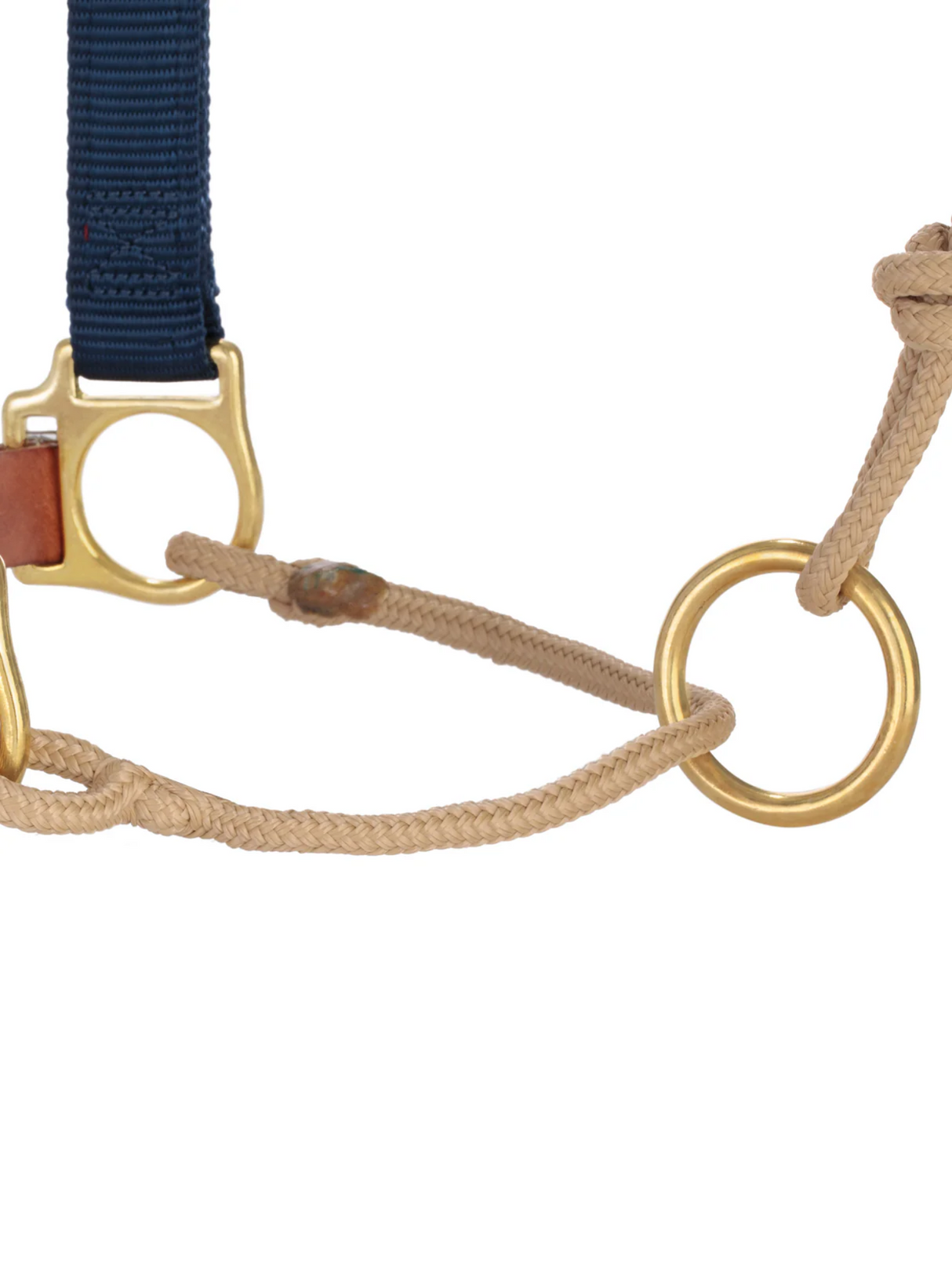Horseman Halter Kalley Krickeberg