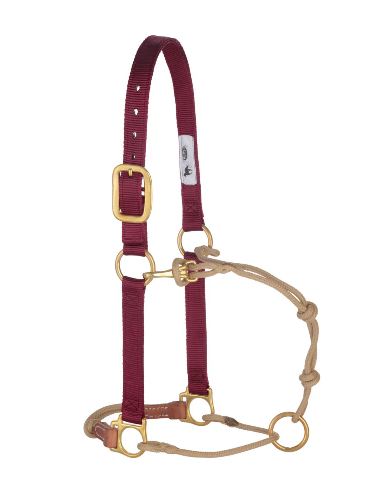 Horseman Halter Kalley Krickeberg