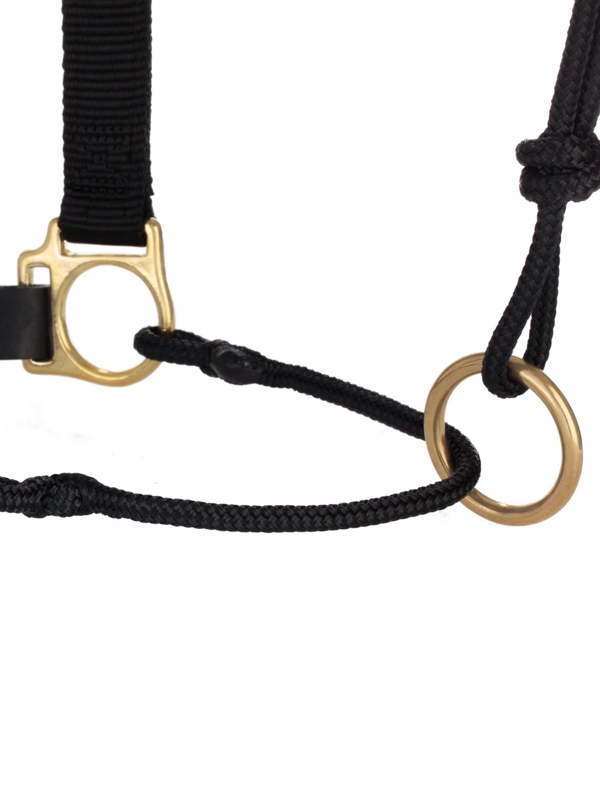 Horseman Halter Kalley Krickeberg