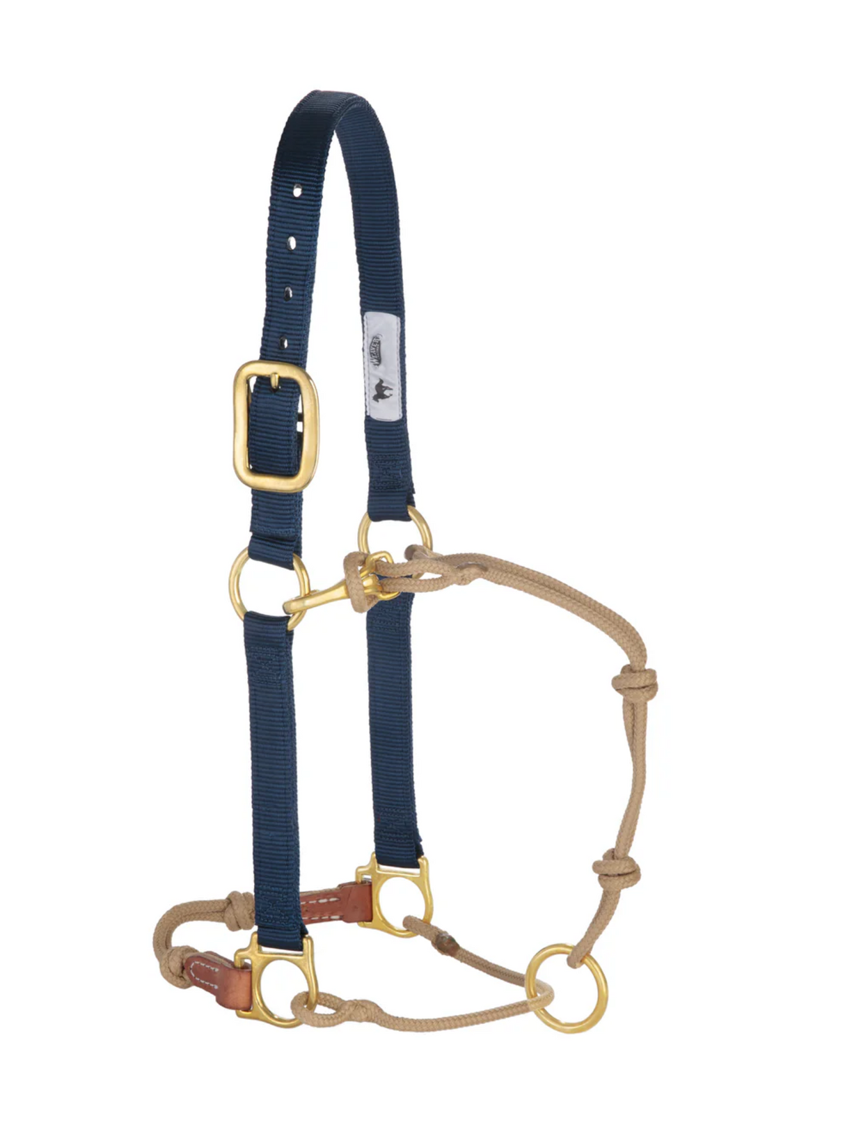 Horseman Halter Kalley Krickeberg