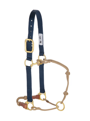 Horseman Halter Kalley Krickeberg