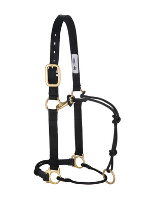 Horseman Halter Kalley Krickeberg