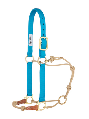 Horseman Halter Kalley Krickeberg
