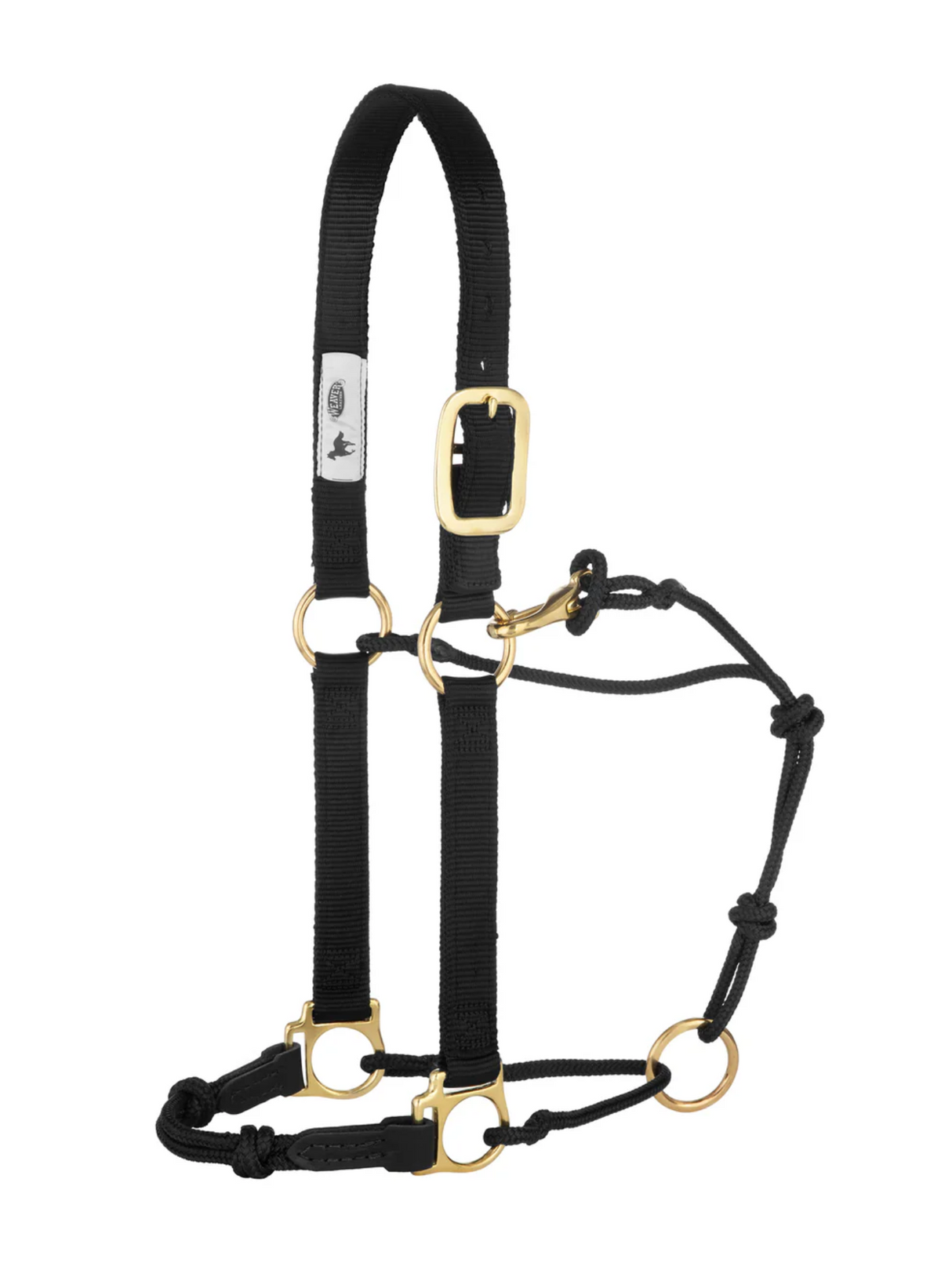 Horseman Halter Kalley Krickeberg