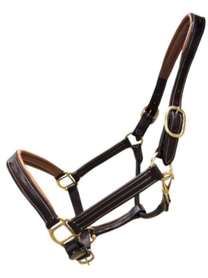 Softy Bi-Tone Leather Halter