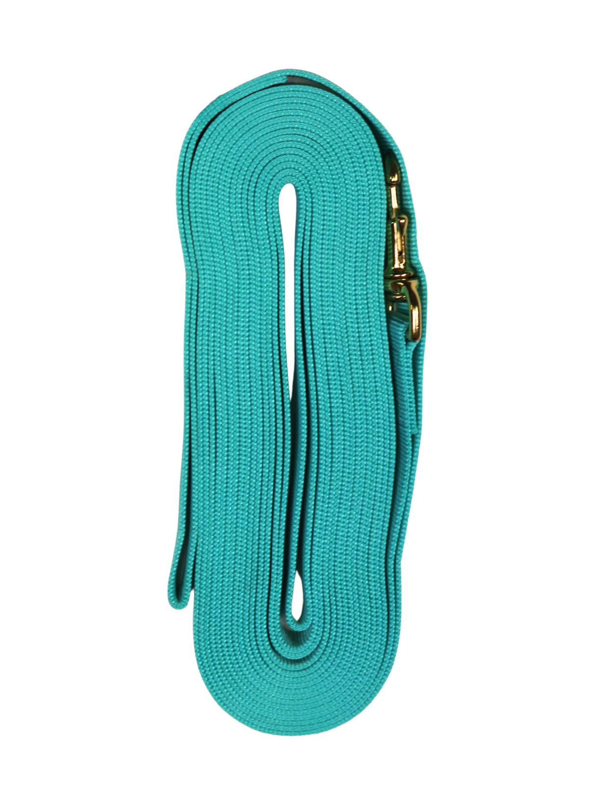 30' Nylon Lanyard with Carabiner