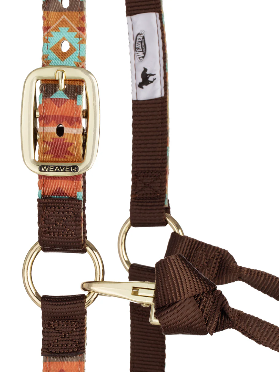 Licou de Nylon avec motifs