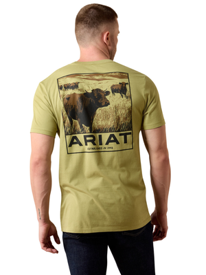 T-Shirt Grazers - Homme
